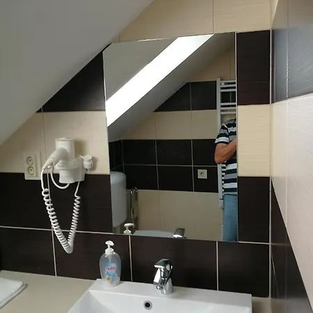 Viktoria Lovas Panzio Bed & Breakfast Gyor